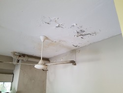 Lucky Hills (D16), Terrace #157335522